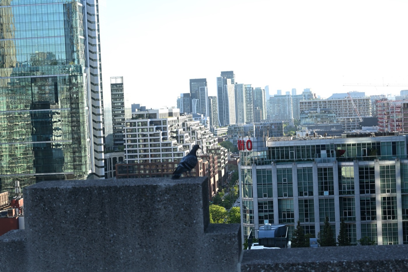 Toronto — frame 32 of the Casa gallery
